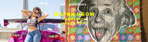 хмурый Мегион