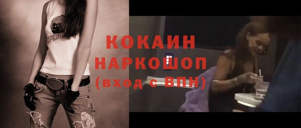 хмурый Мегион