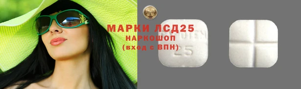 хмурый Мегион