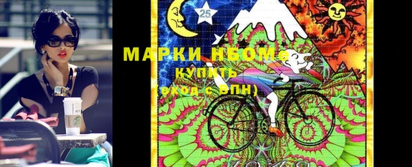 хмурый Мегион