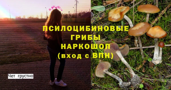 mdpv Медвежьегорск
