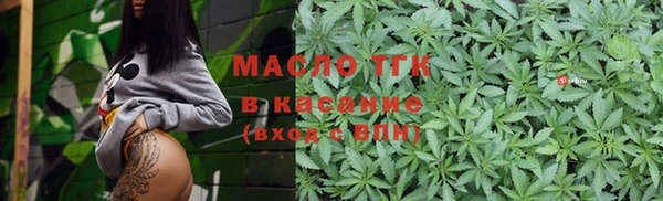 хмурый Мегион