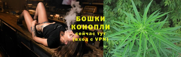 хмурый Мегион